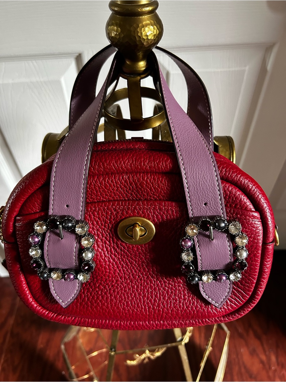Coach Upcrafted Lunar New Year Camera Bag